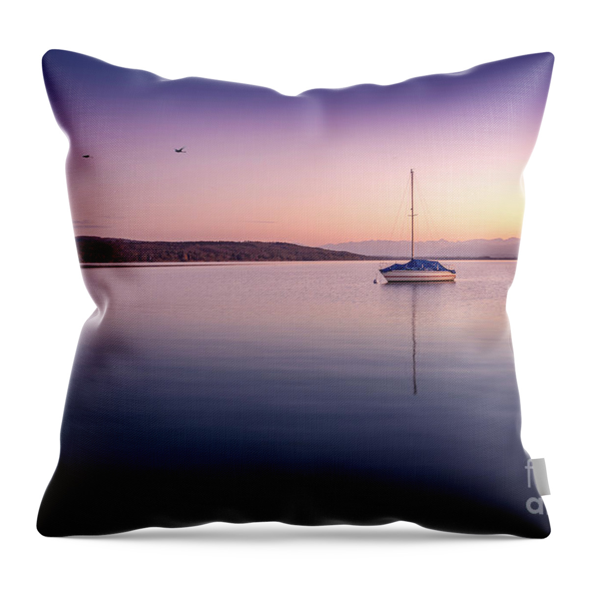Ammersee Throw Pillow featuring the photograph A Fragile Moment by Hannes Cmarits