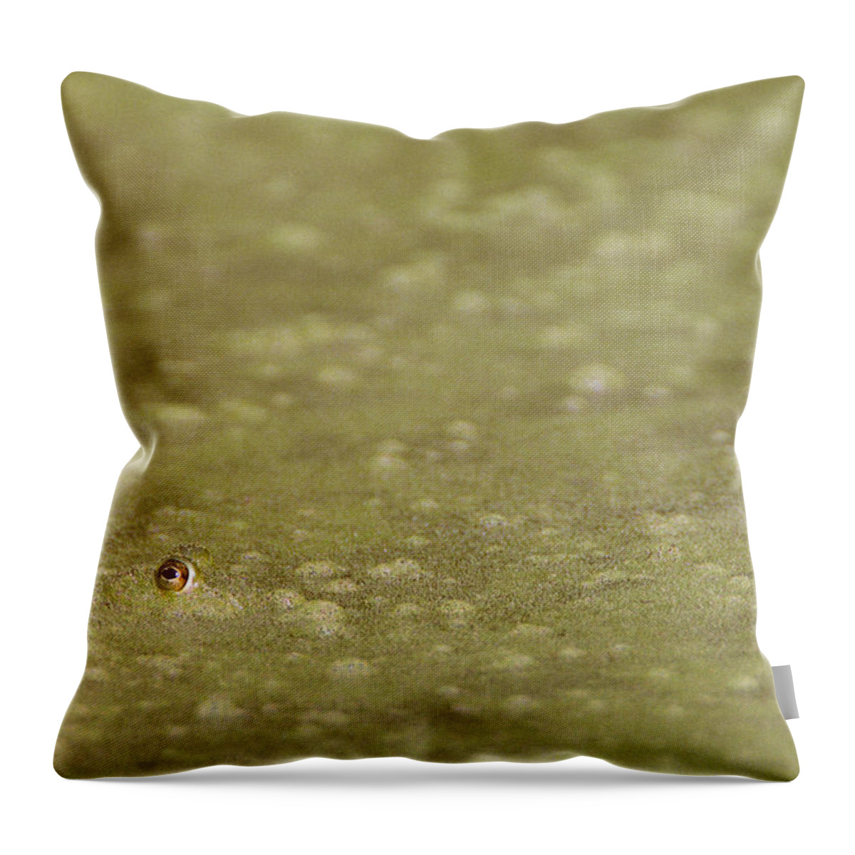 Amphibian Throw Pillow featuring the photograph A Frogs Eye in Pond Muck by John Harmon
