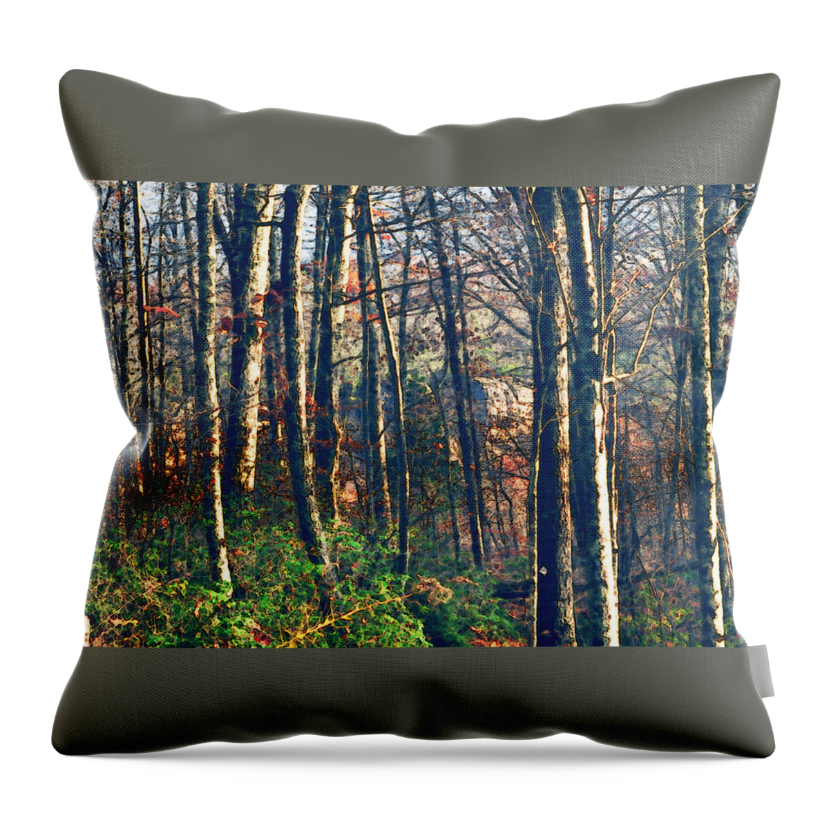 Nature Throw Pillow featuring the photograph A late Autumn Walk in the Woods by Stacie Siemsen