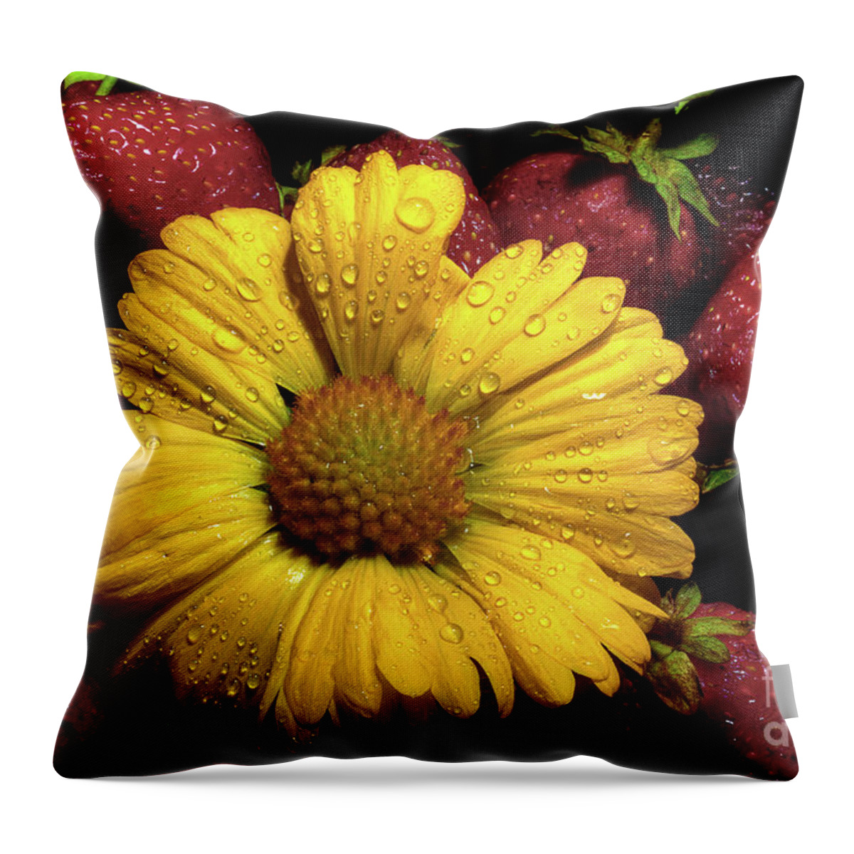 Daisy Throw Pillow featuring the photograph A Little Sunshine In The Morning by Michael Eingle