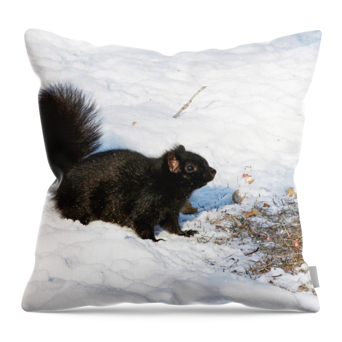 Squirrel Throw Pillow featuring the photograph A moment of decision by Tatiana Travelways