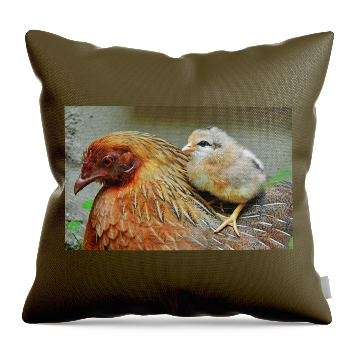 Wild Throw Pillow featuring the photograph A Mother's Love by Jan Gelders