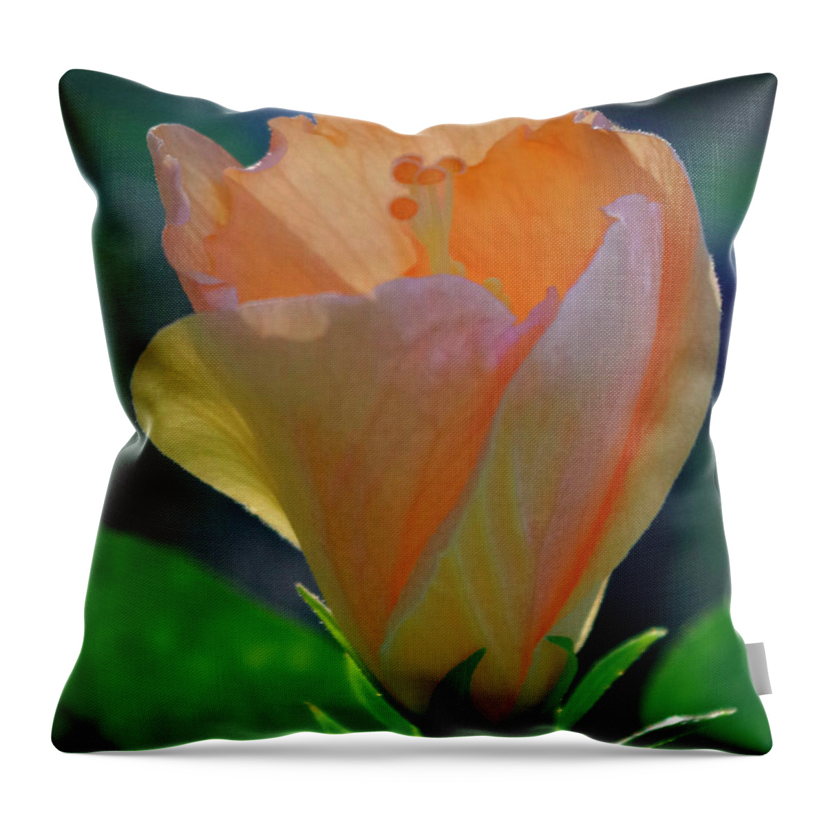 Nature Throw Pillow featuring the photograph A new day. by Bess Carter