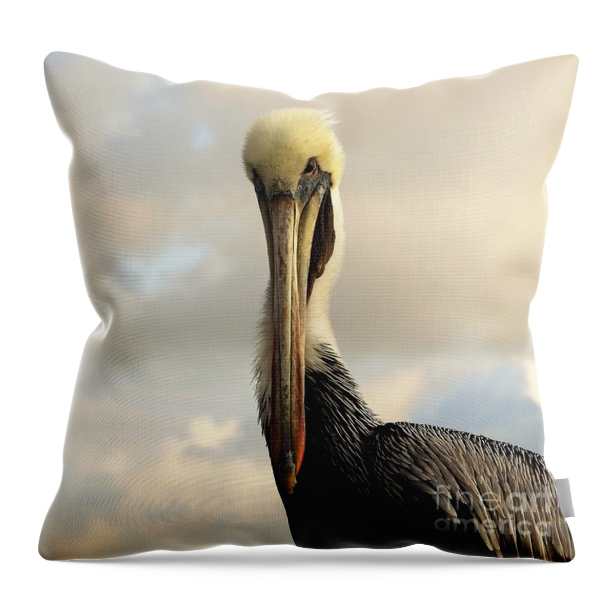 Pelican Throw Pillow featuring the photograph A Pelican's Portrait by Jan Gelders