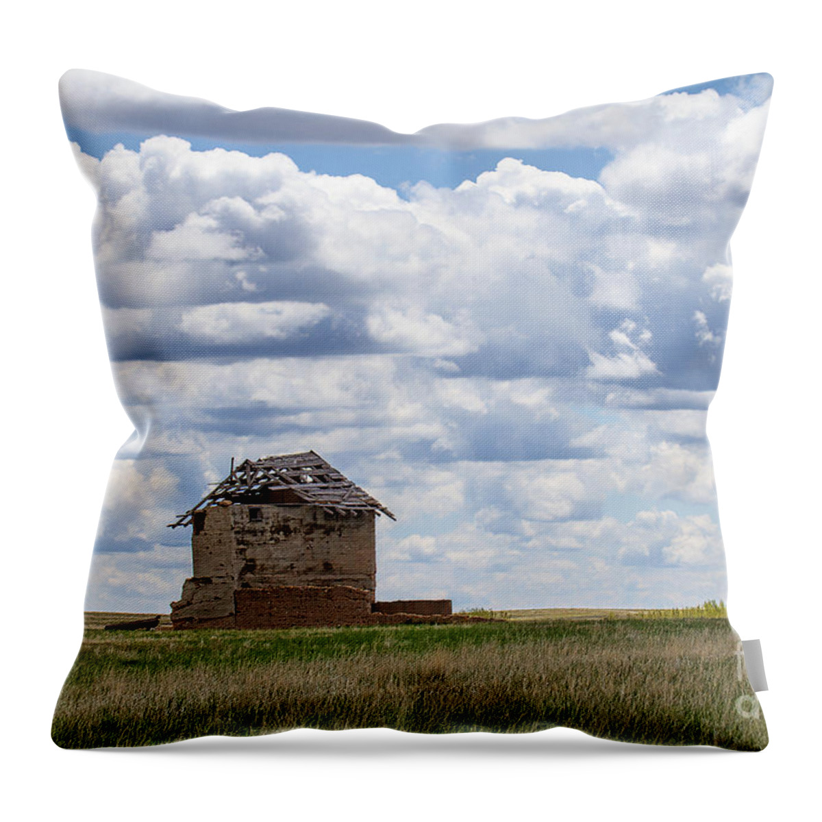 Colorado Plains Throw Pillow featuring the photograph A Solitary Existance by Jim Garrison
