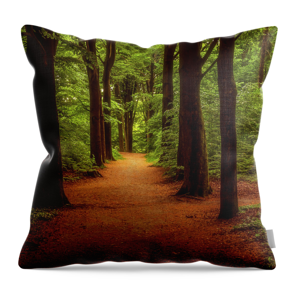 Arnhem Throw Pillow featuring the photograph A walk in the park by Tim Abeln