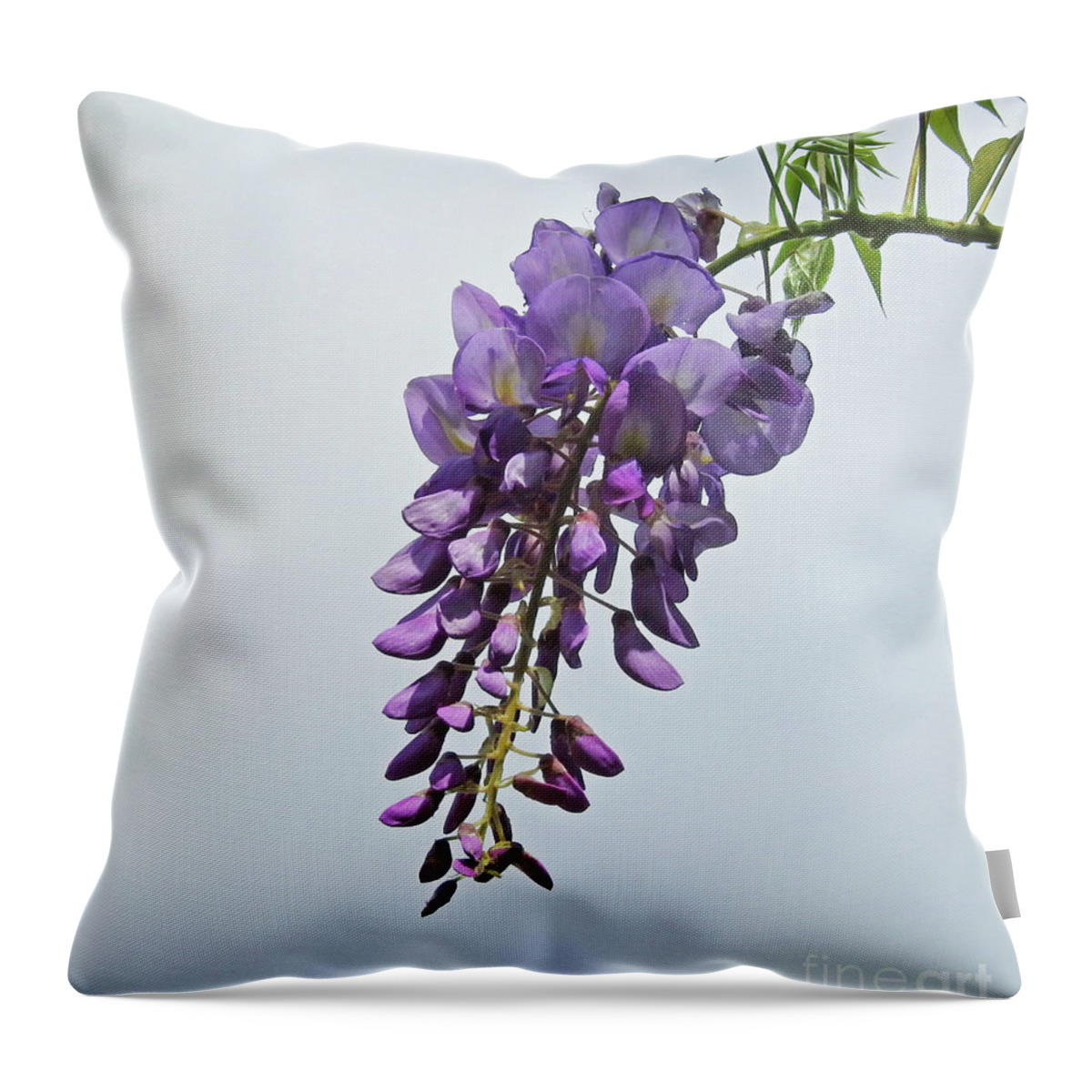 Vine Throw Pillow featuring the photograph A Wisp of Wisteria by Jan Gelders
