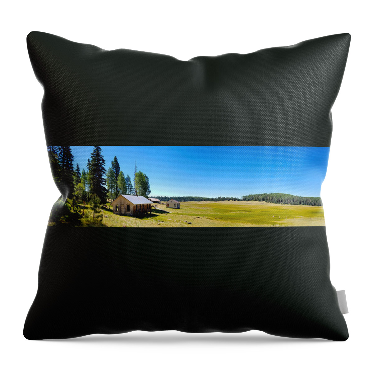 Arizona Throw Pillow featuring the photograph Abandoned in Meadow by Richard Gehlbach
