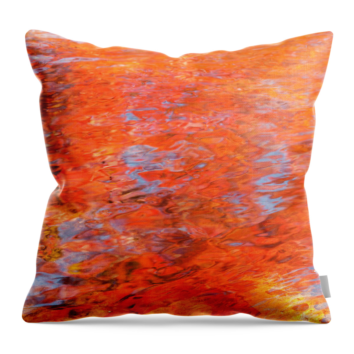 Autumn Throw Pillow featuring the photograph Colors reflecting in a pond becomes a wash of color. by Usha Peddamatham