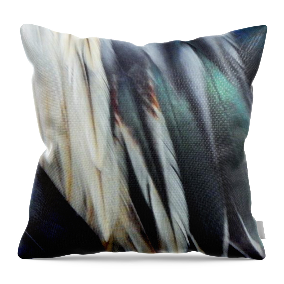 Feathers Throw Pillow featuring the photograph Abstract Feather Art by Jan Gelders 