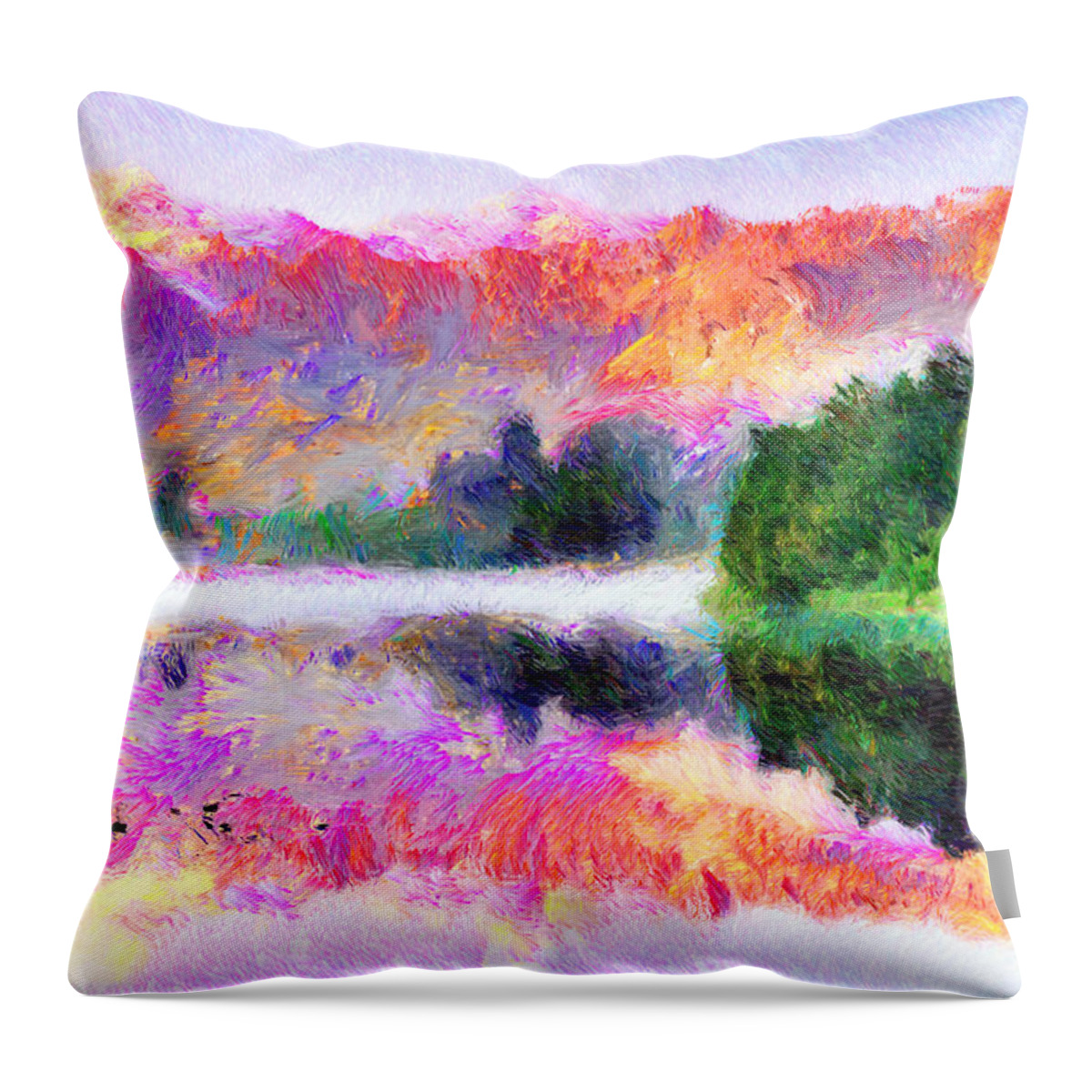 Rafael Salazar Throw Pillow featuring the mixed media Abstract Landscape 0743 by Rafael Salazar