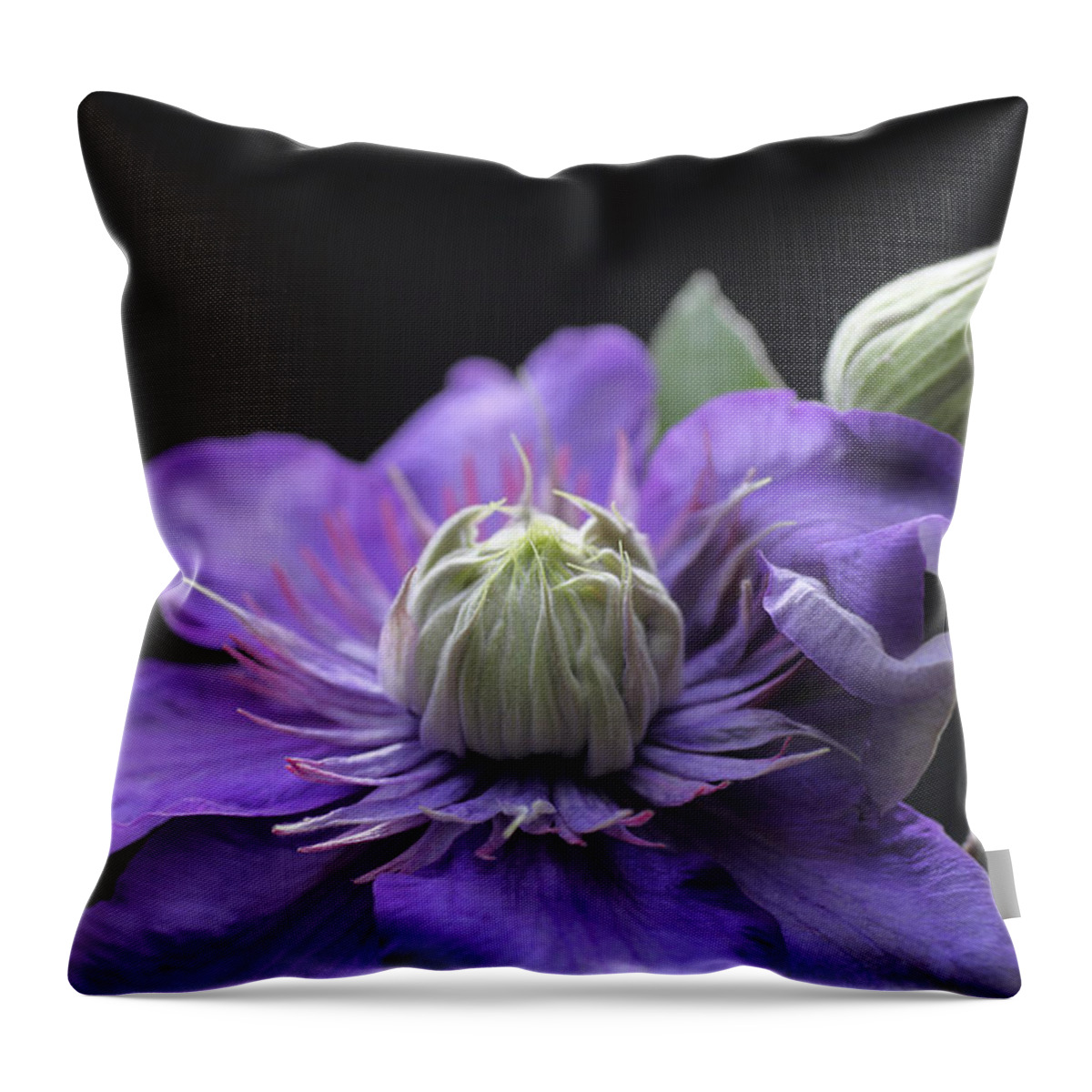 Abundant Throw Pillow featuring the photograph Abundant Clematis by Tammy Pool