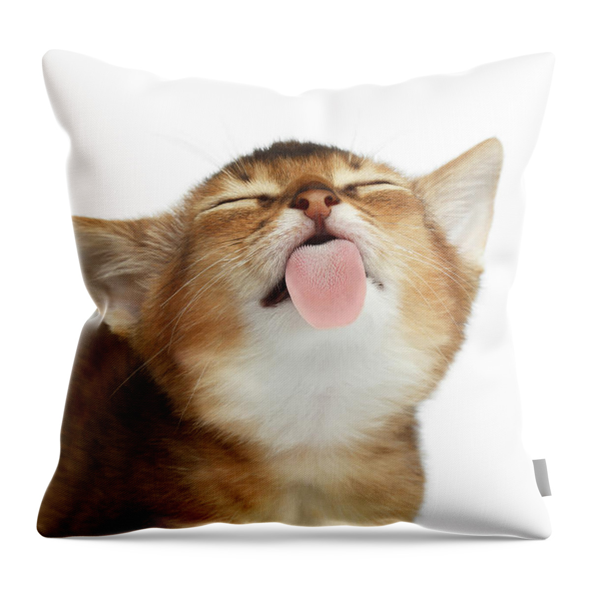 Kitten Throw Pillow featuring the photograph Abyssinian Kitten Licking screen by Sergey Taran