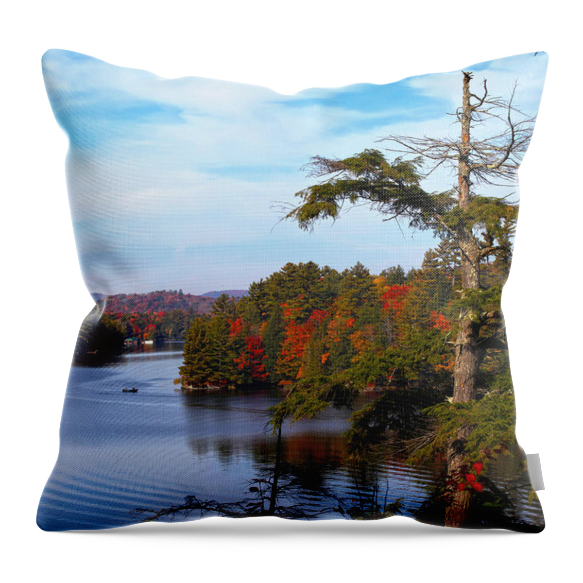 Adirondack Throw Pillow featuring the photograph Adirondack View by Robert Och