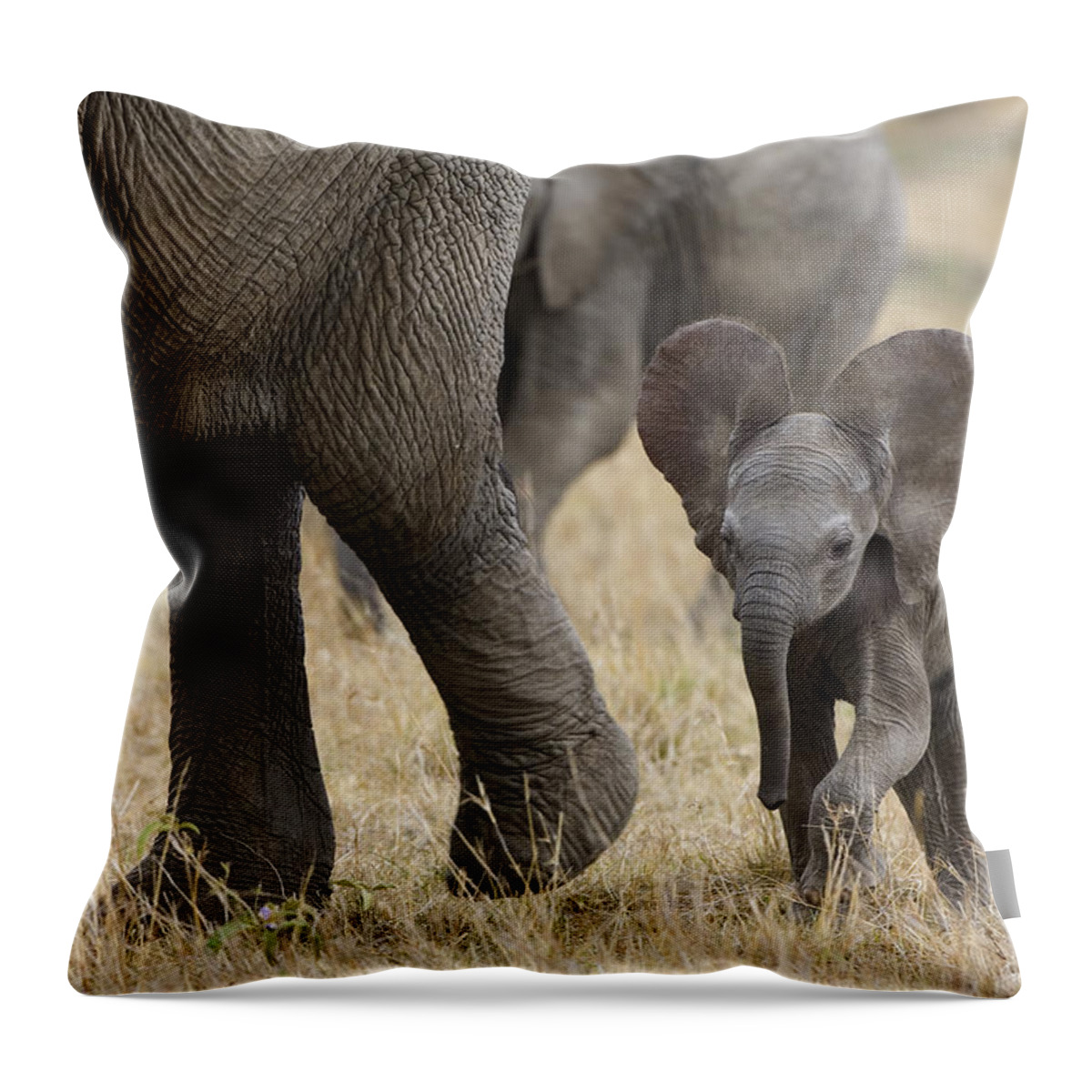 00784043 Throw Pillow featuring the photograph African Elephant Mother And Under 3 by Suzi Eszterhas