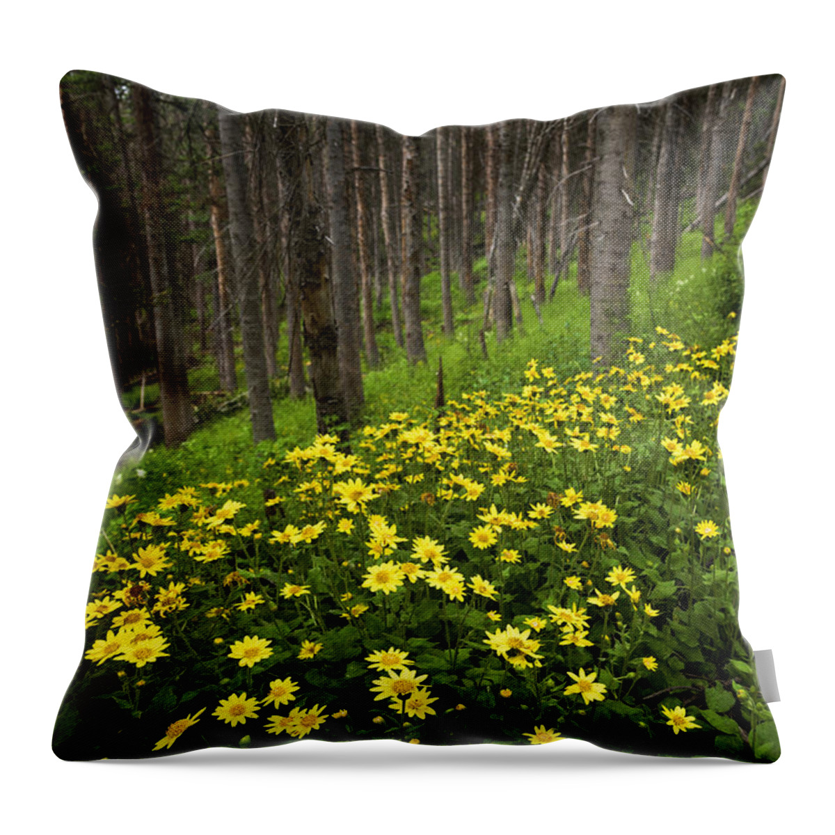 After Throw Pillow featuring the photograph After by Chad Dutson