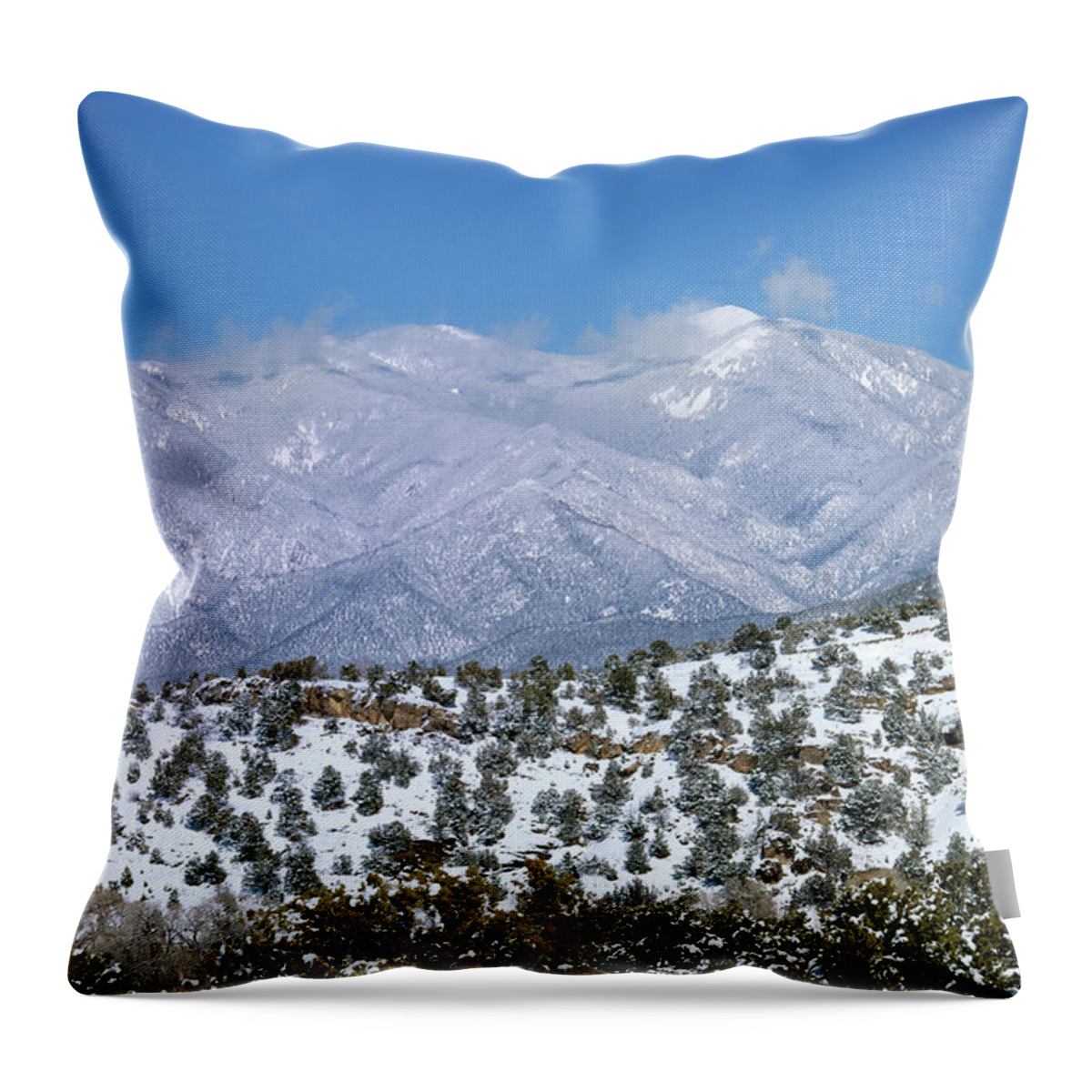 Landscape Throw Pillow featuring the photograph After The Blizzard by Ron Cline