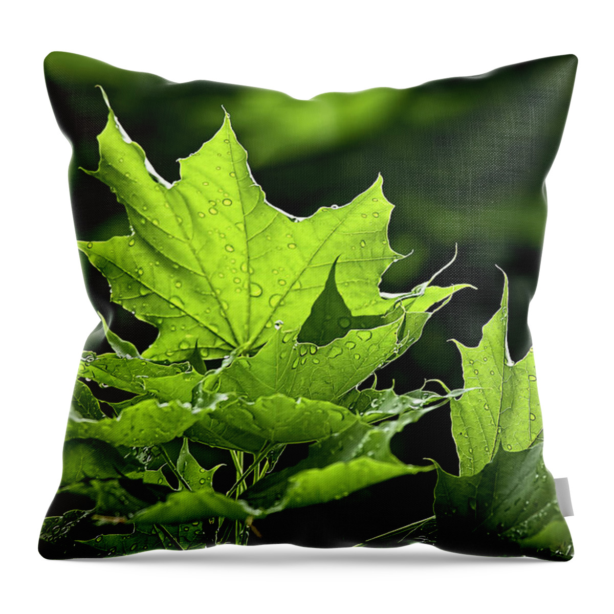Water Drops Throw Pillow featuring the photograph After the rain by Tatiana Travelways