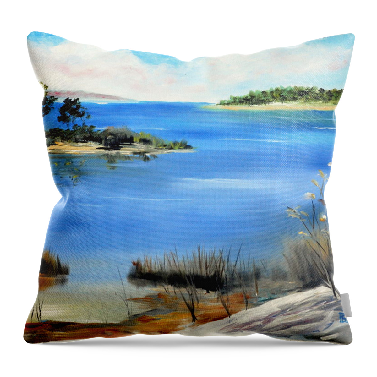 Water Throw Pillow featuring the painting Afternoon Water by Phil Burton