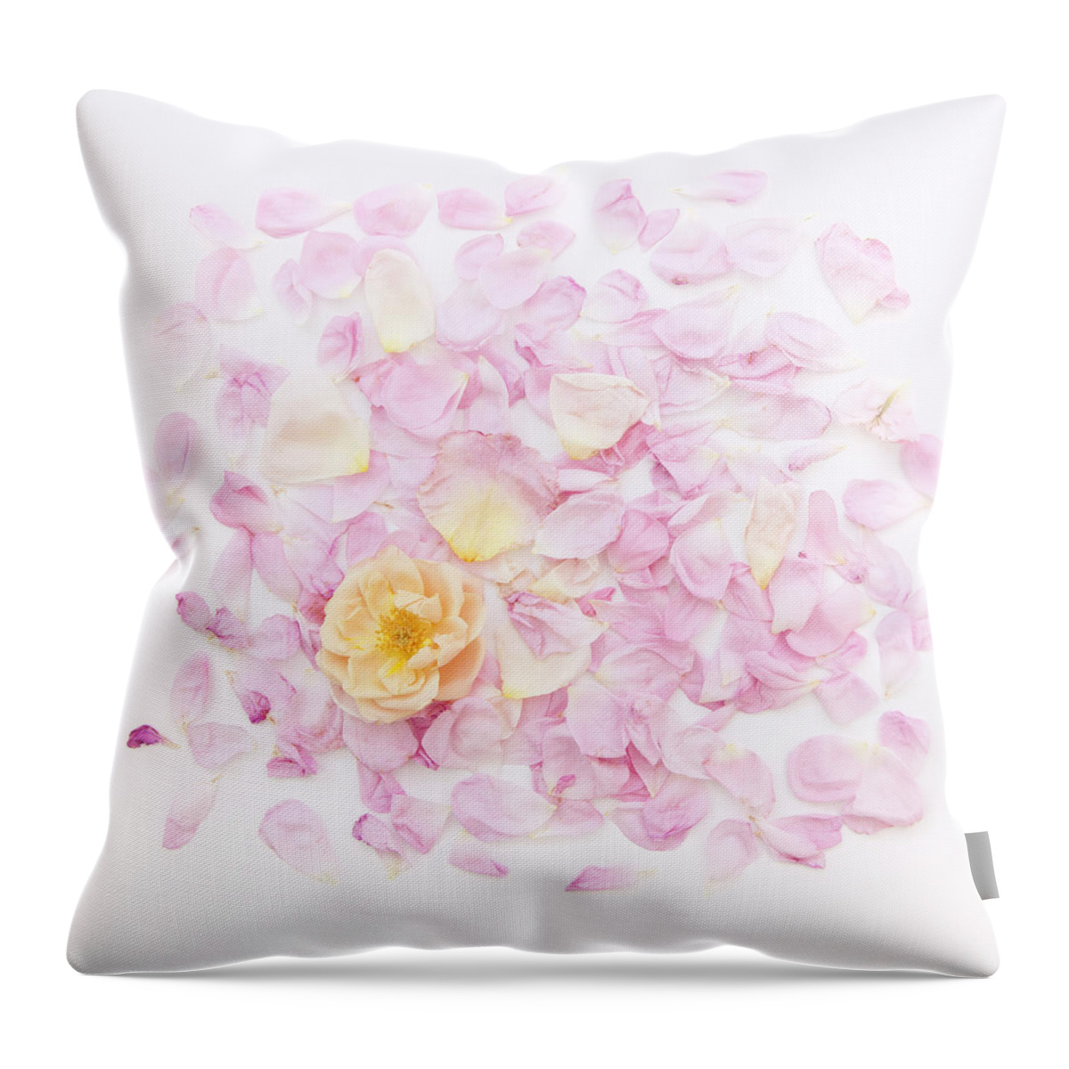 Rose Petal Pillow Throw Pillow featuring the photograph Ah My Love, Ah My Own by Theresa Tahara