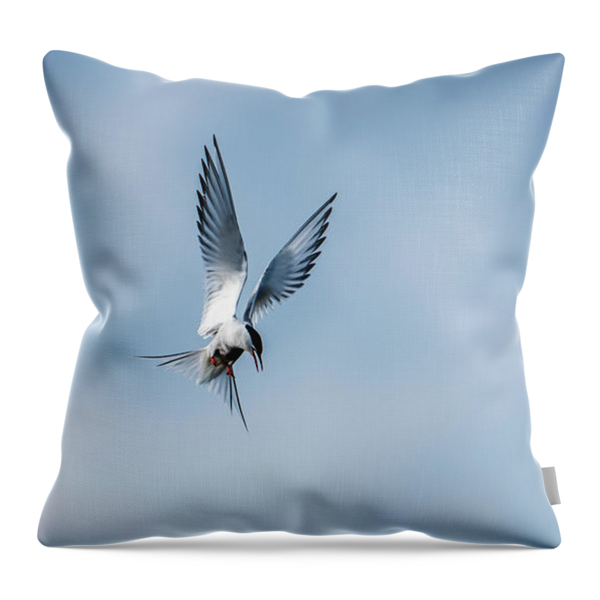 Aha A Fish Throw Pillow featuring the photograph Aha a fish by Torbjorn Swenelius
