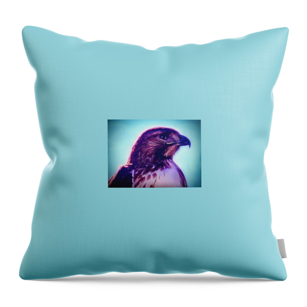Ak Chin Throw Pillow featuring the photograph Ak-Chin Red-Tailed Hawk Portrait by Judy Kennedy