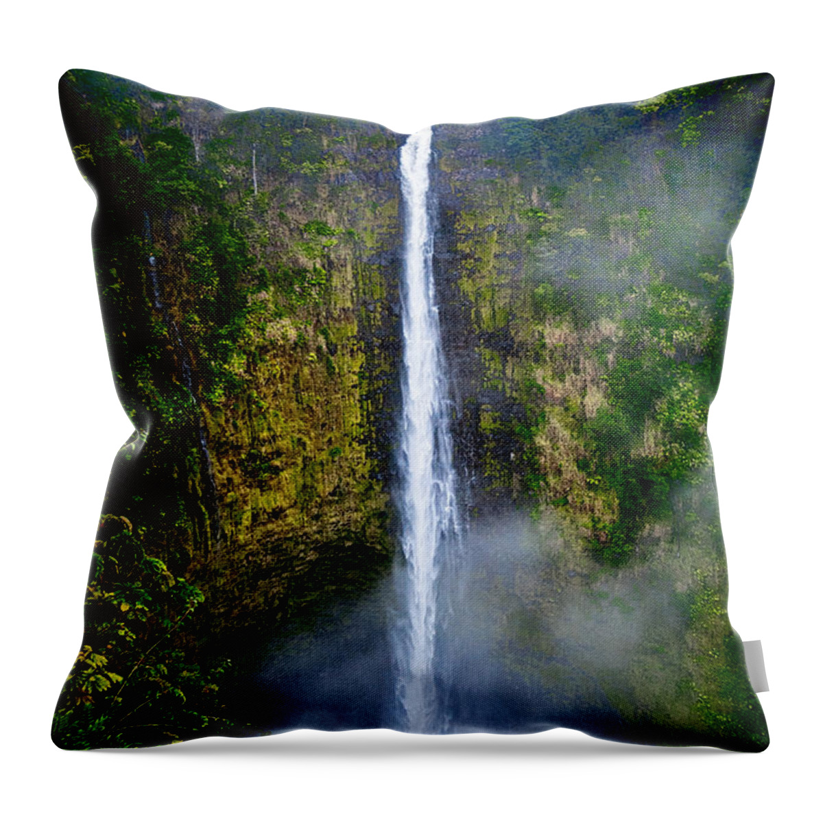 Nature Throw Pillow featuring the photograph Akaka Falls by Christopher Holmes