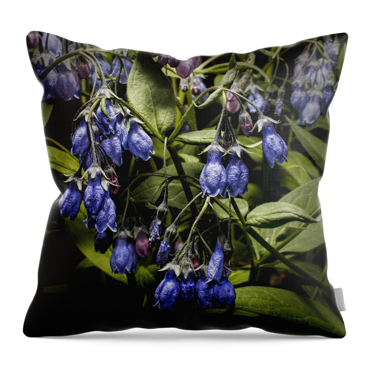 Wildflower Throw Pillow featuring the photograph Alaskan Bluebell by Fred Denner