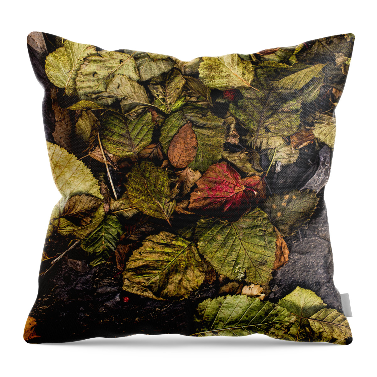 Leaves Throw Pillow featuring the photograph Alder Leaves Dan Creek 2015 by Fred Denner