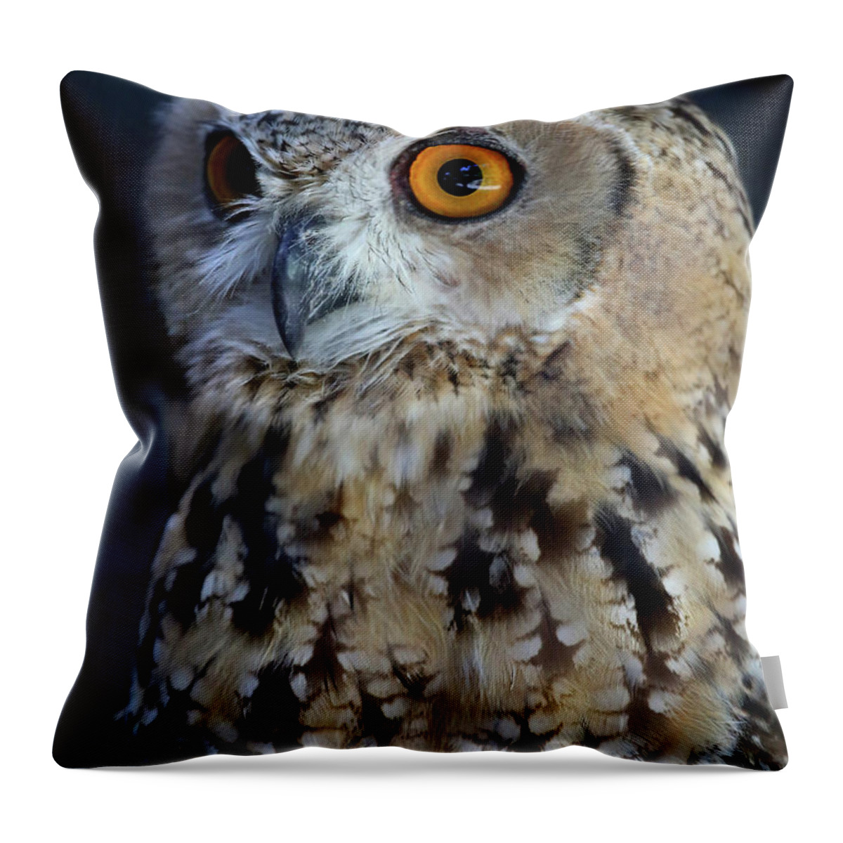 Owl Throw Pillow featuring the photograph Alert by Steve Parr