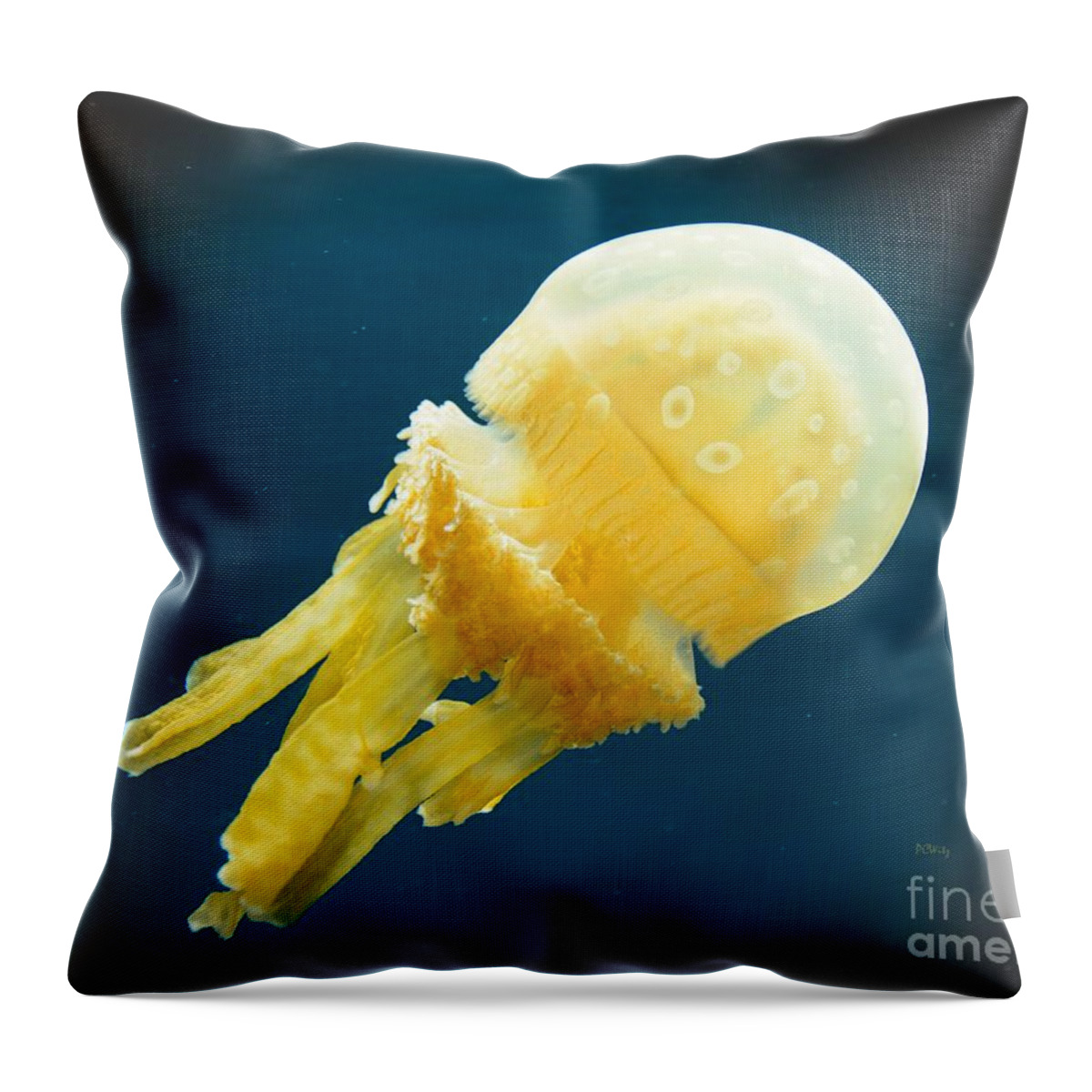 Alien Jelly Throw Pillow featuring the photograph Alien Jelly by Patrick Witz