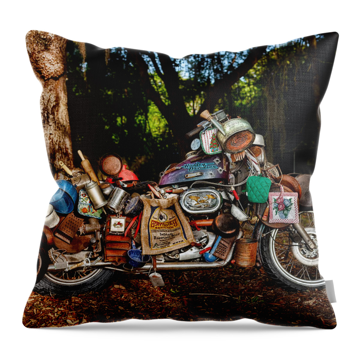 Harley Throw Pillow featuring the photograph All But The Kitchen Sink by Christopher Holmes