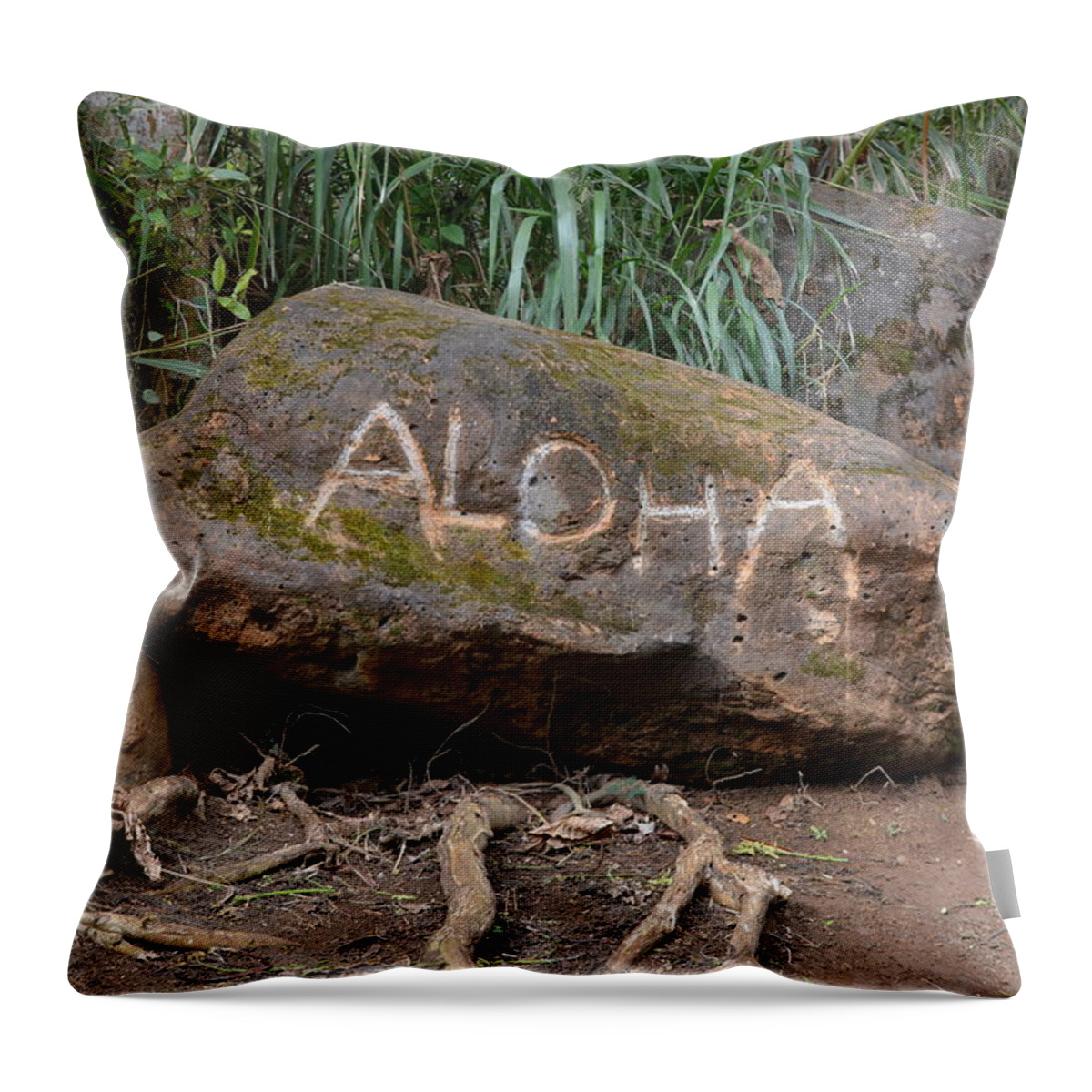 Rock Throw Pillow featuring the photograph Aloha by Carolyn Mickulas