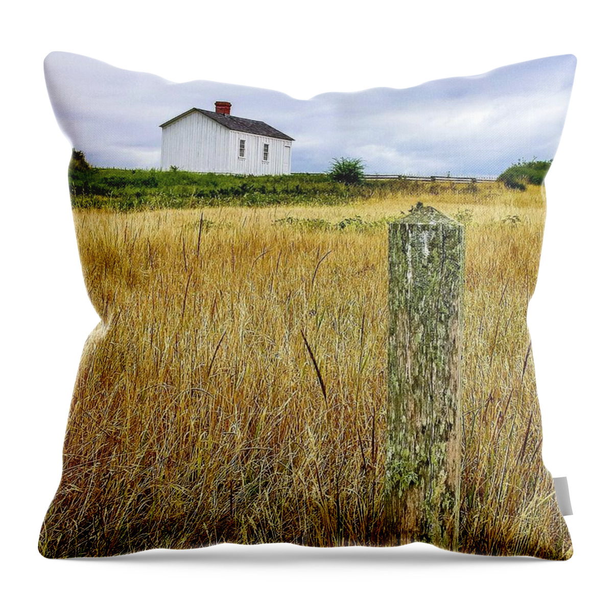 Peaceful Throw Pillow featuring the photograph Alone by Shannon Kelly