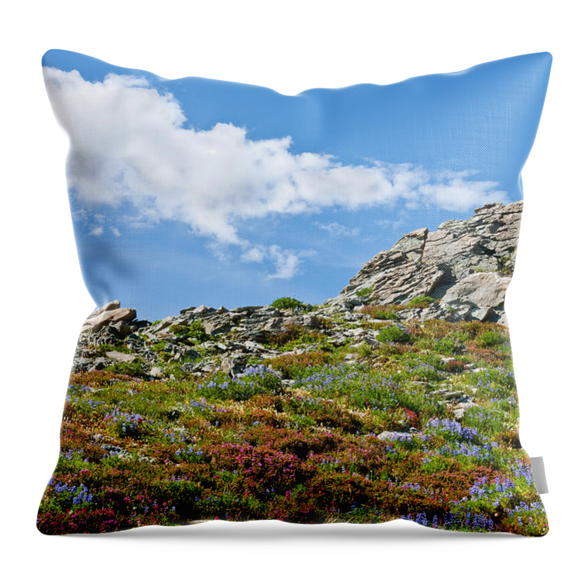 Alpine Throw Pillow featuring the photograph Alpine Rock Garden by Jeff Goulden
