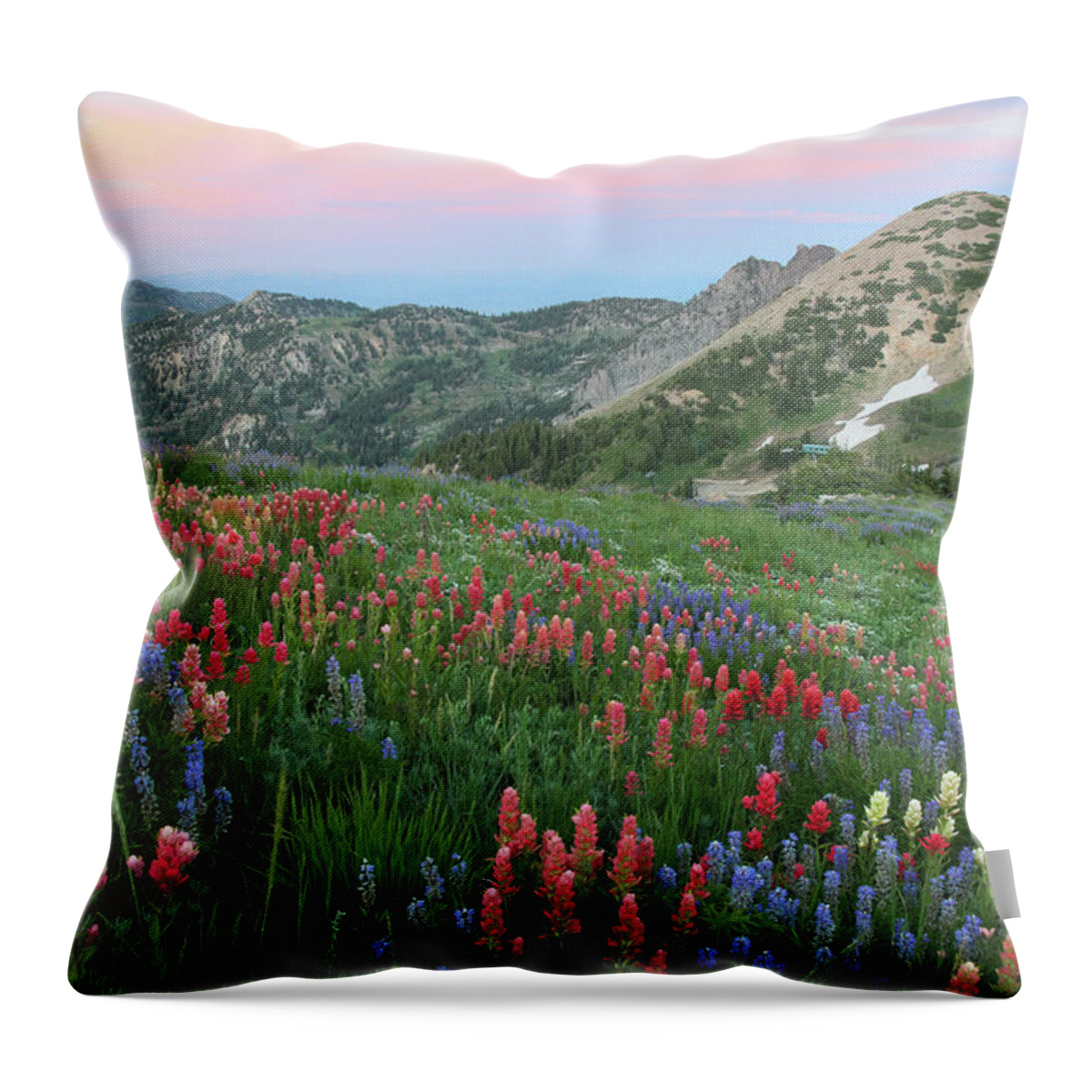 Landscape Throw Pillow featuring the photograph Alpine Wildflowers and View at Sunset by Brett Pelletier