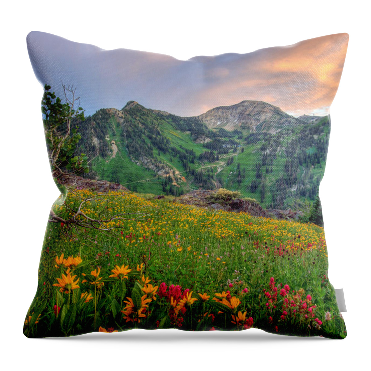 Wildflower Throw Pillow featuring the photograph Alta Wildflowers and Sunset by Brett Pelletier