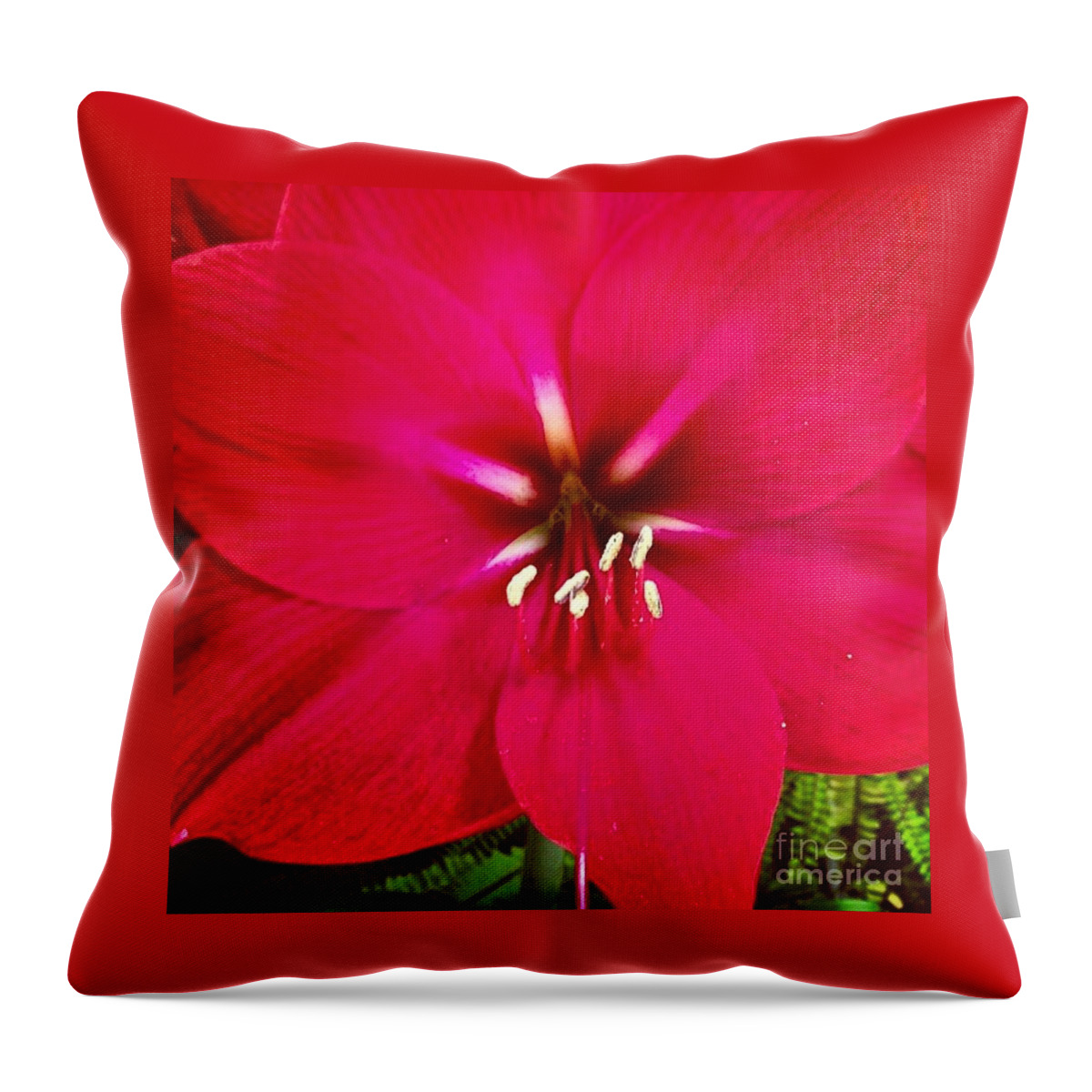 Flower Throw Pillow featuring the photograph Amaryllis Detail by Denise Railey