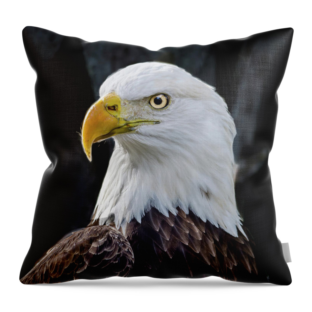 American Eagle Throw Pillow featuring the photograph American Eagle by Jaime Mercado