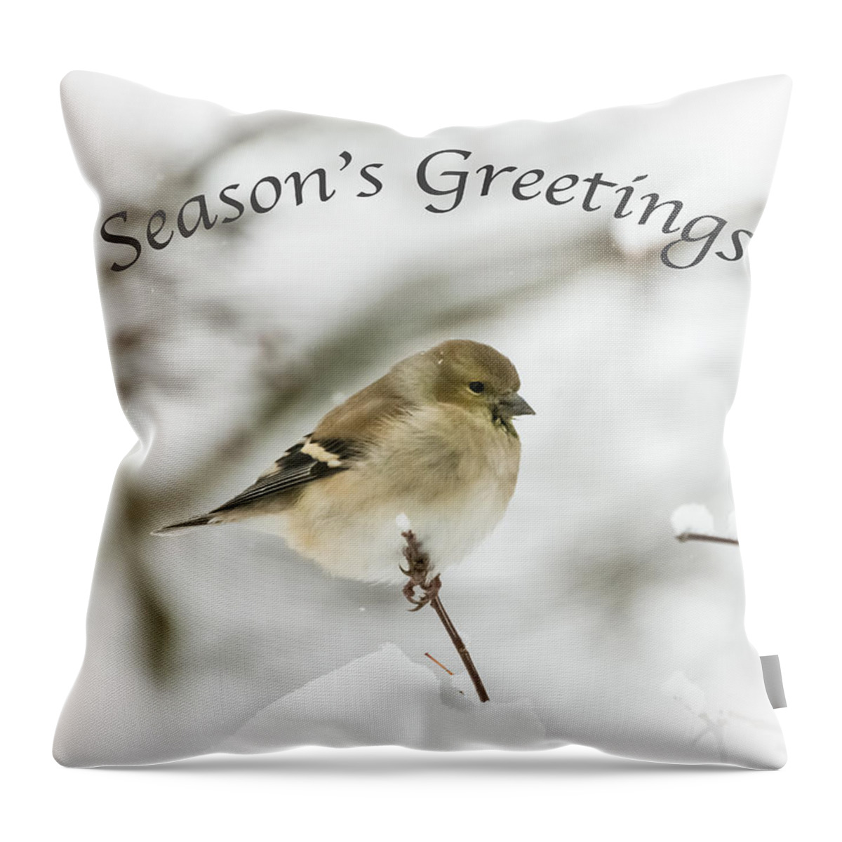 American Goldfinch Throw Pillow featuring the photograph American Goldfinch - Season's Greetings by Holden The Moment