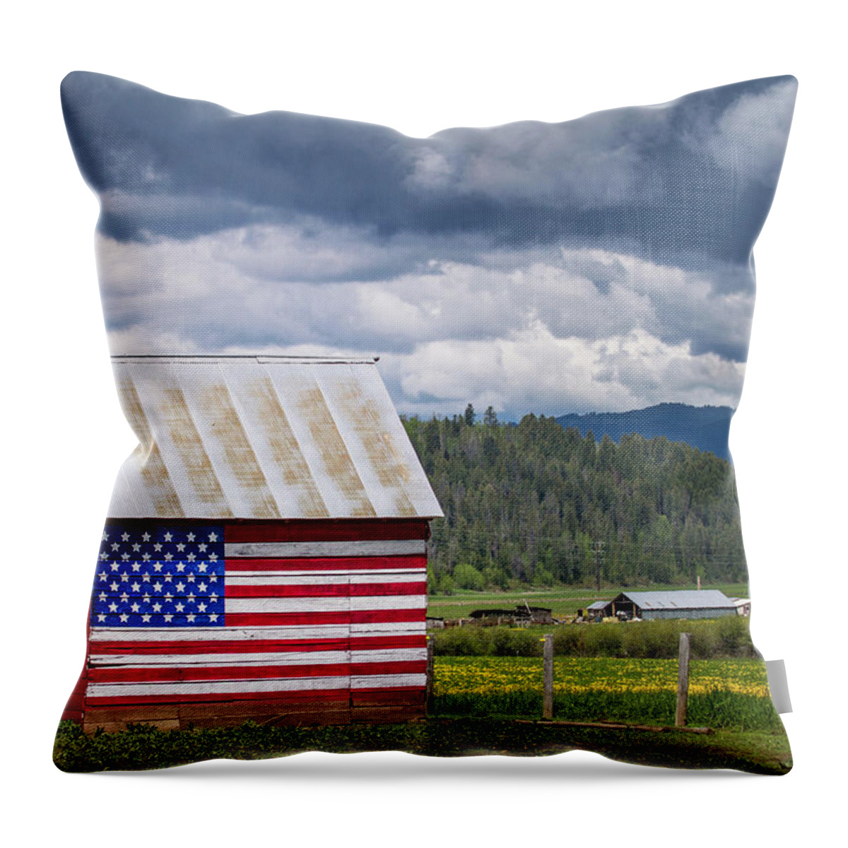 America Throw Pillow featuring the photograph American Landscape by Wesley Aston