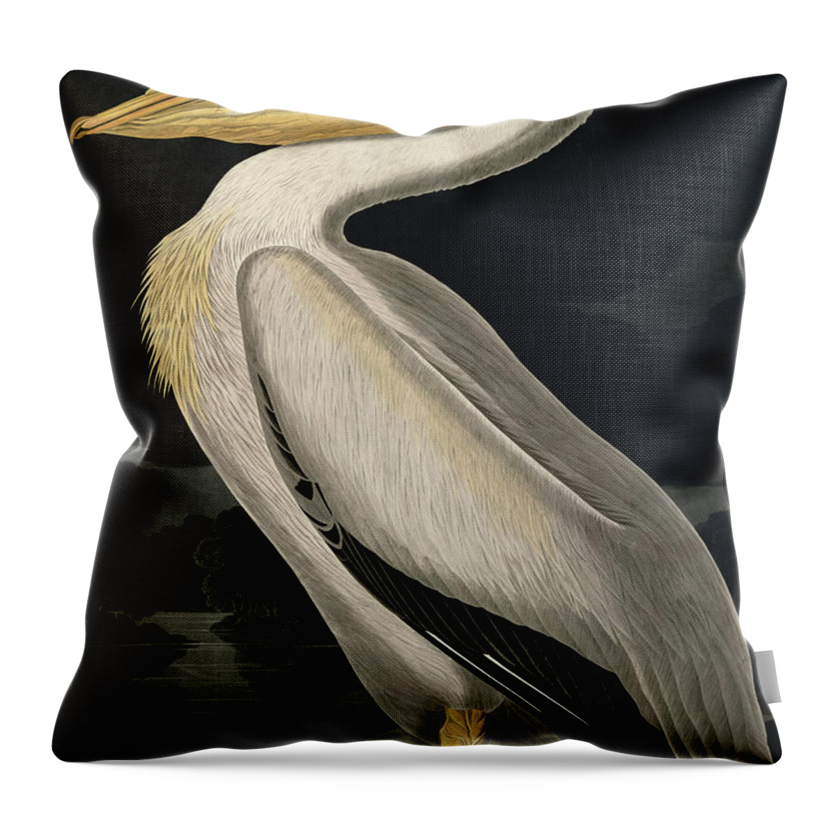American White Pelican Throw Pillow featuring the painting American White Pelican by John James Audubon
