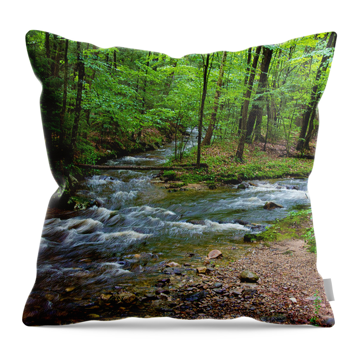 Nature Throw Pillow featuring the photograph Amethyst Brook in Amherst MA by Richard Goldman