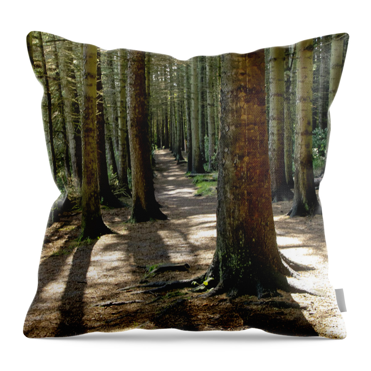 Beecraigs Throw Pillow featuring the photograph Among forest trunks by Elena Perelman