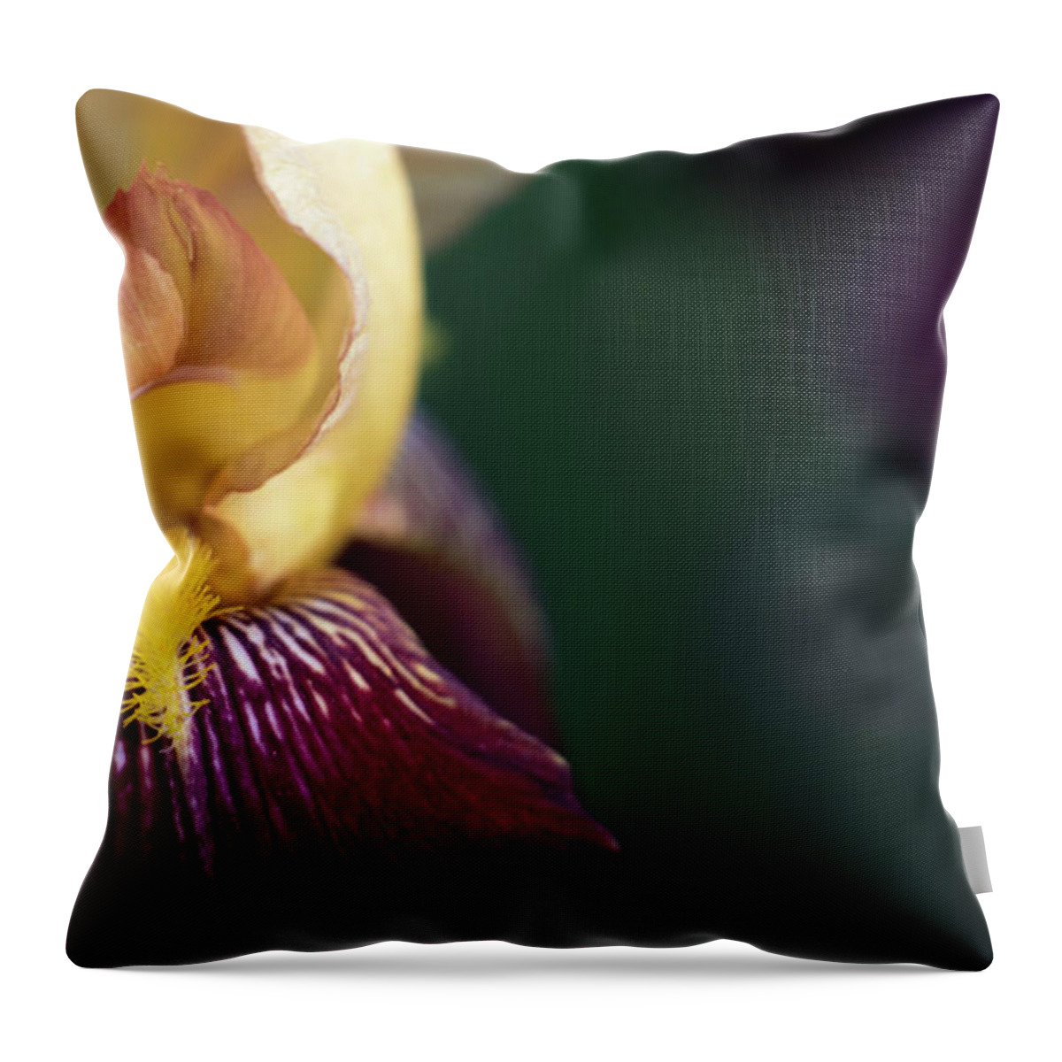 Iris Throw Pillow featuring the photograph Among the Irises by Holly Ross