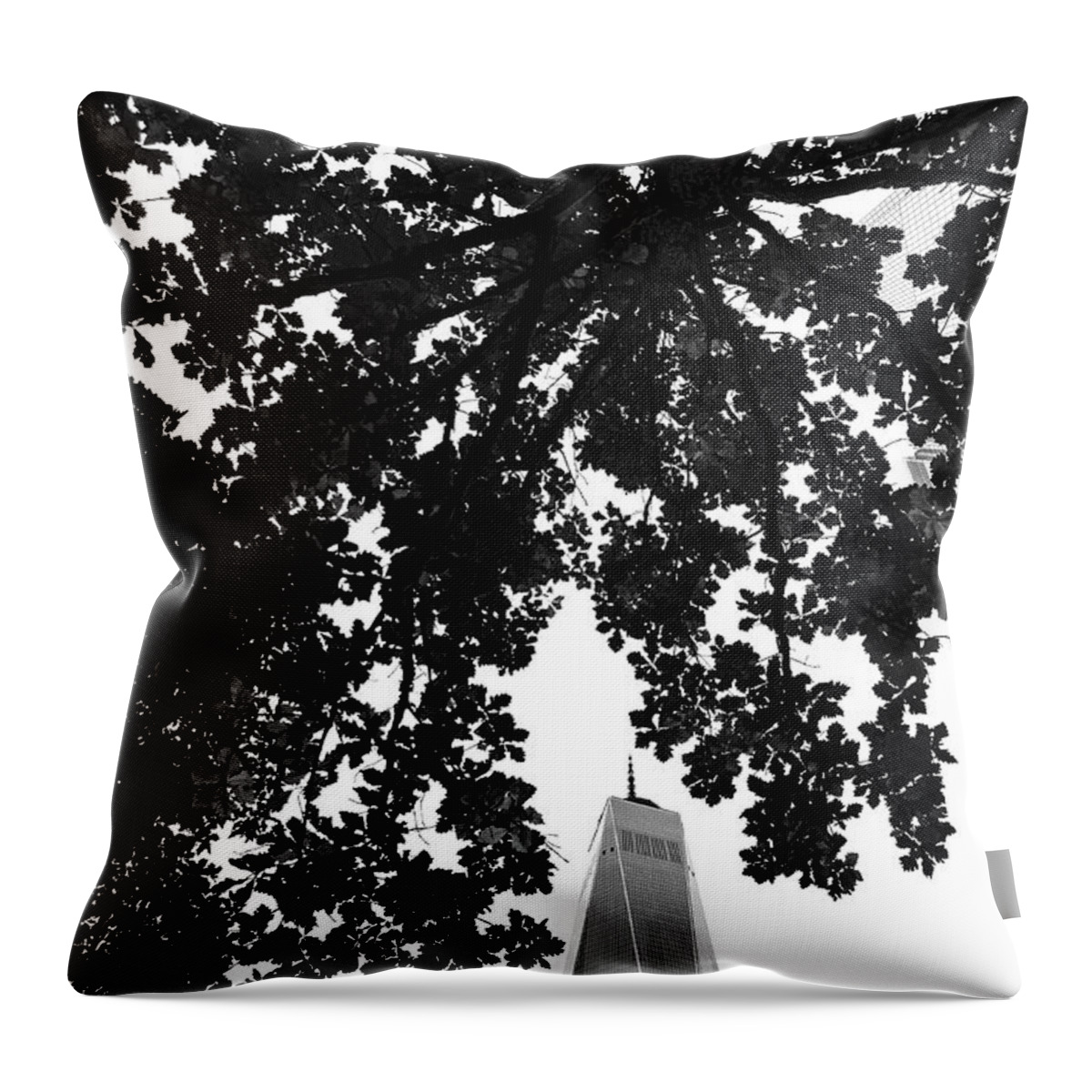 One Throw Pillow featuring the photograph An Architect's Poem by Peter Hull