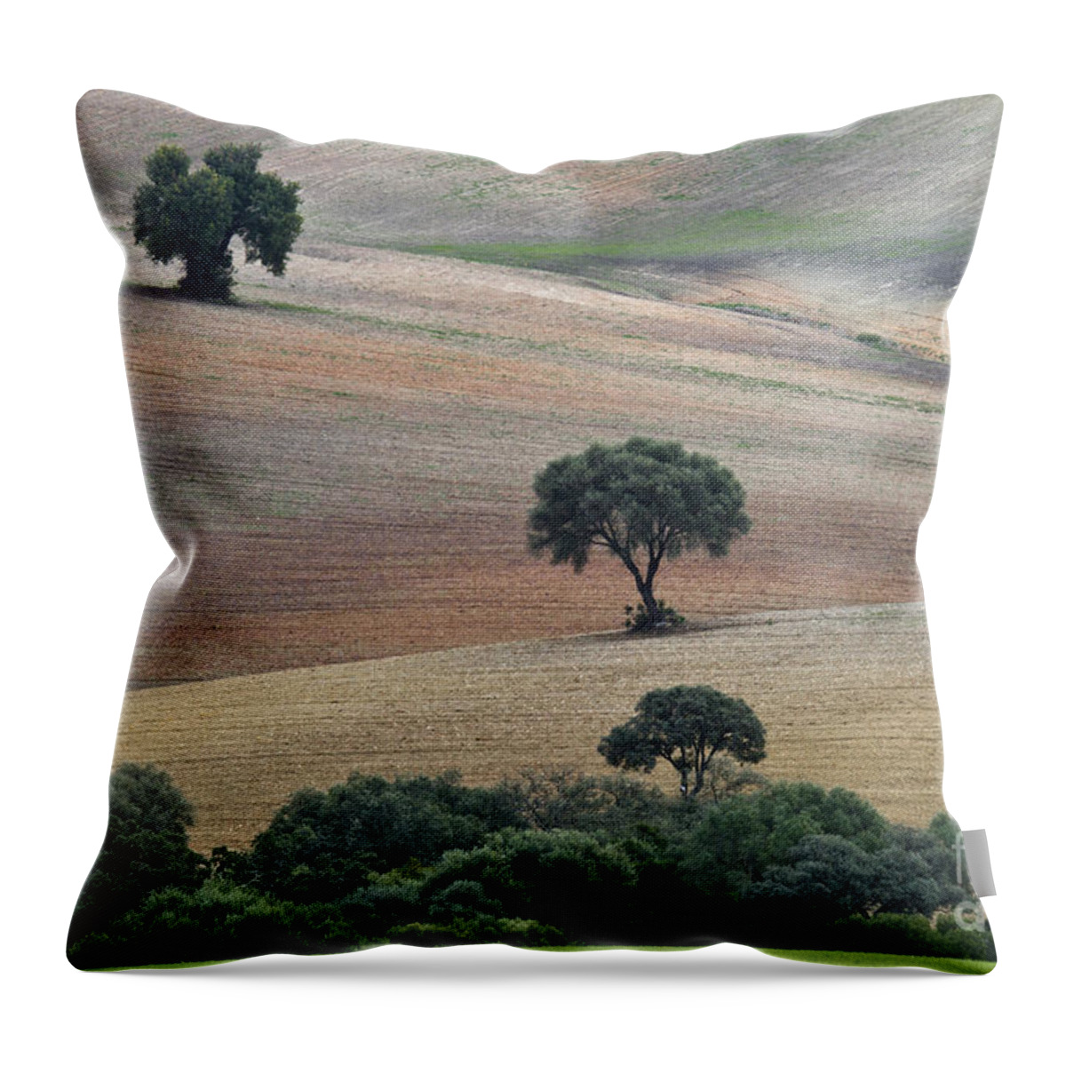 Landscape Throw Pillow featuring the photograph Andalusian Landscape by Heiko Koehrer-Wagner
