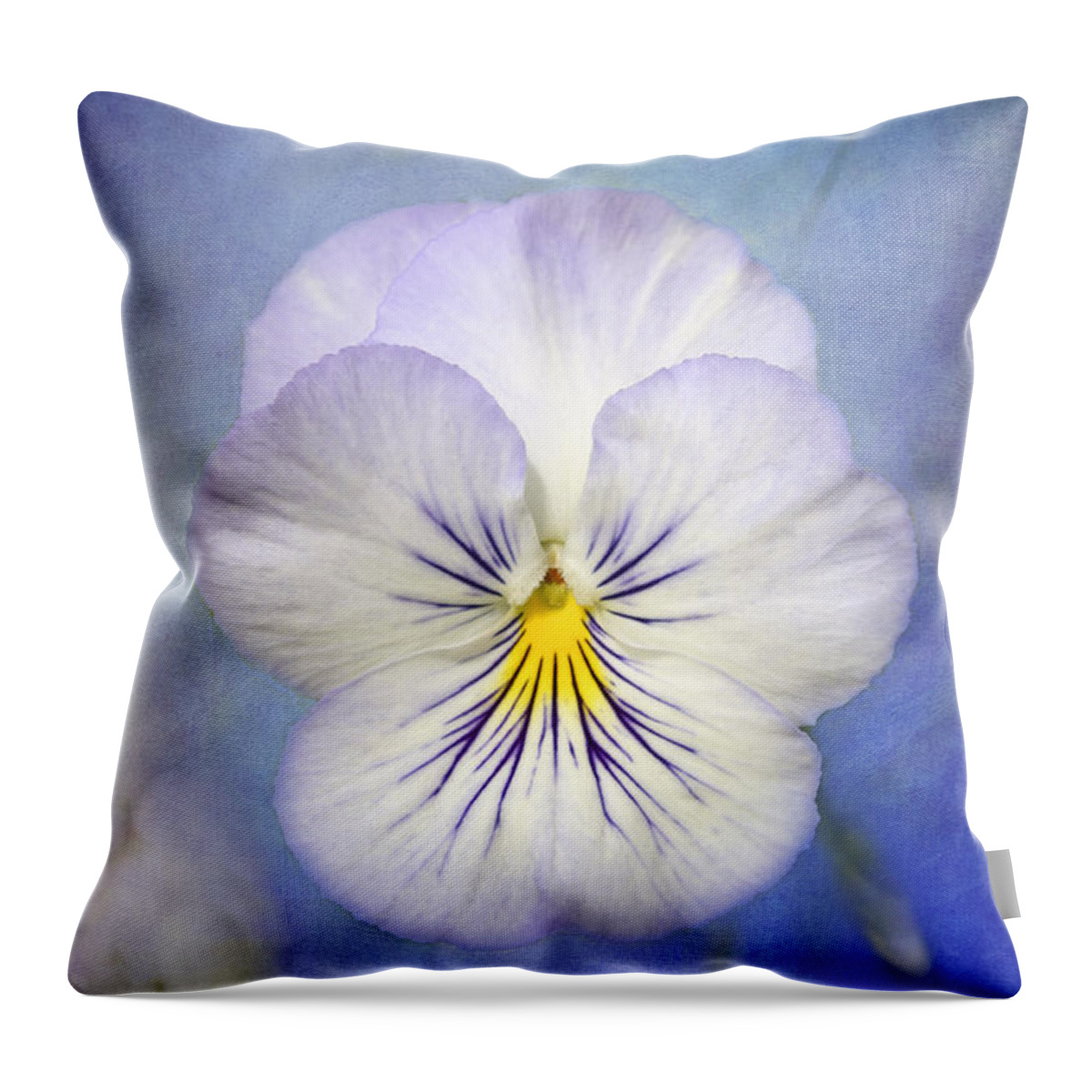 White Pancy Flower Throw Pillow featuring the photograph Angel Wings by Marina Kojukhova