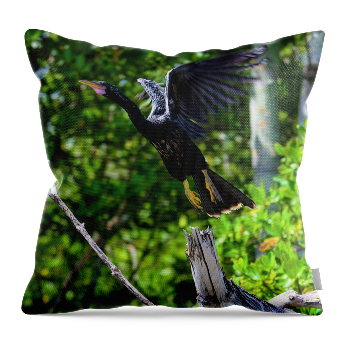 Anhinga Throw Pillow featuring the photograph Anhinga Launching Itself from a Dead Tree by Artful Imagery