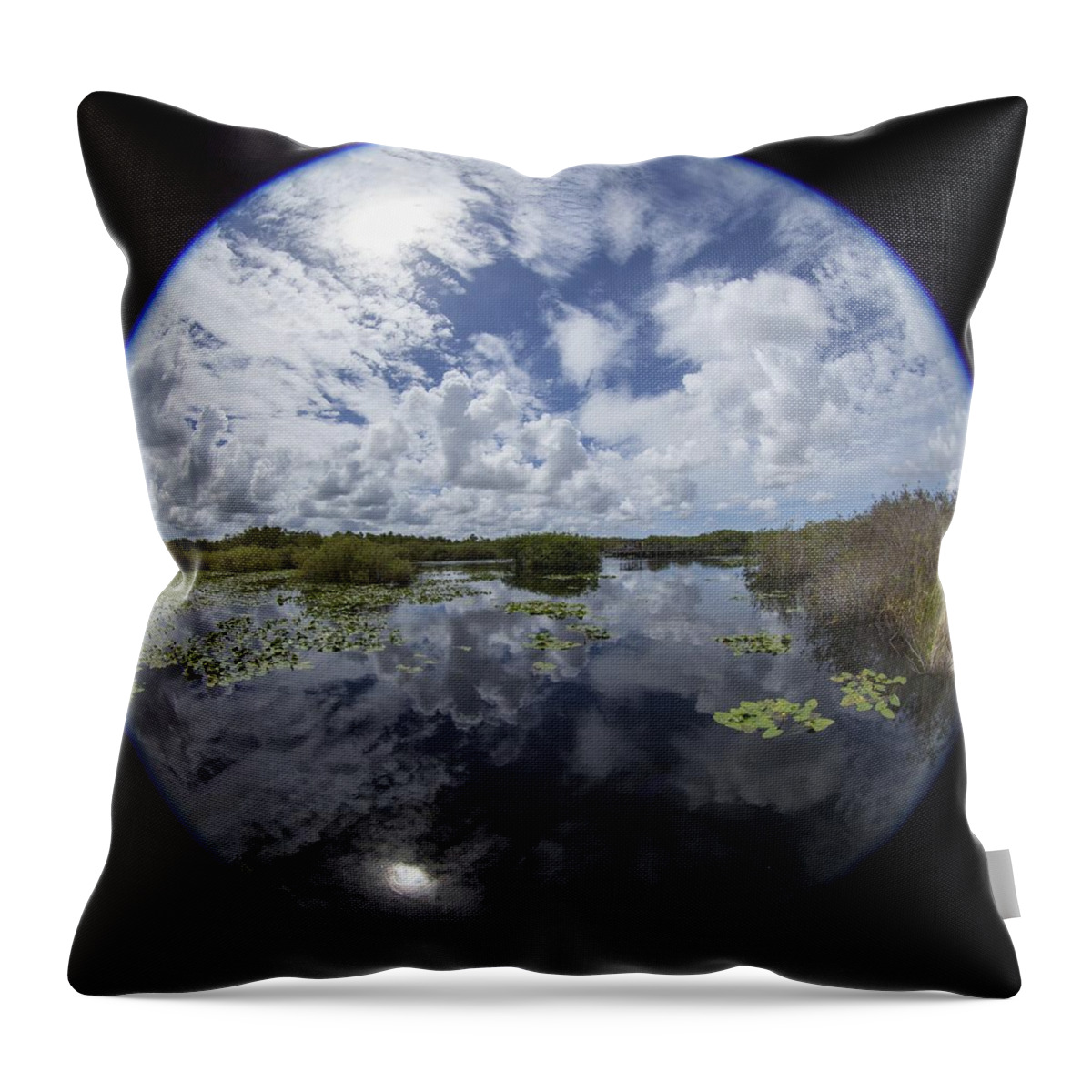 Fisheye Throw Pillow featuring the photograph Anhinga Trail 86 by Michael Fryd